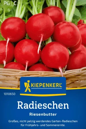 Shop nu | Kiepenkerl Radijs "Riesenbutter"
