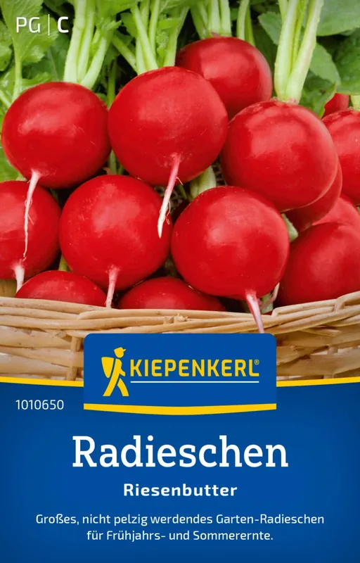 Shop nu | Kiepenkerl Radijs "Riesenbutter"