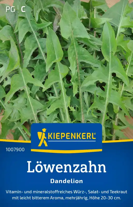 Net toegevoegd | Kiepenkerl Paardebloem "Dandelion"