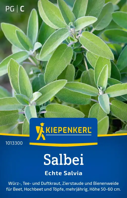 Kiepenkerl Echte Salie | Nu beschikbaar