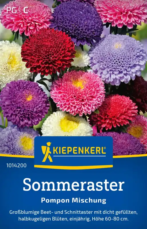 Koopje | Kiepenkerl Zomeraster "Pompom Mischung"