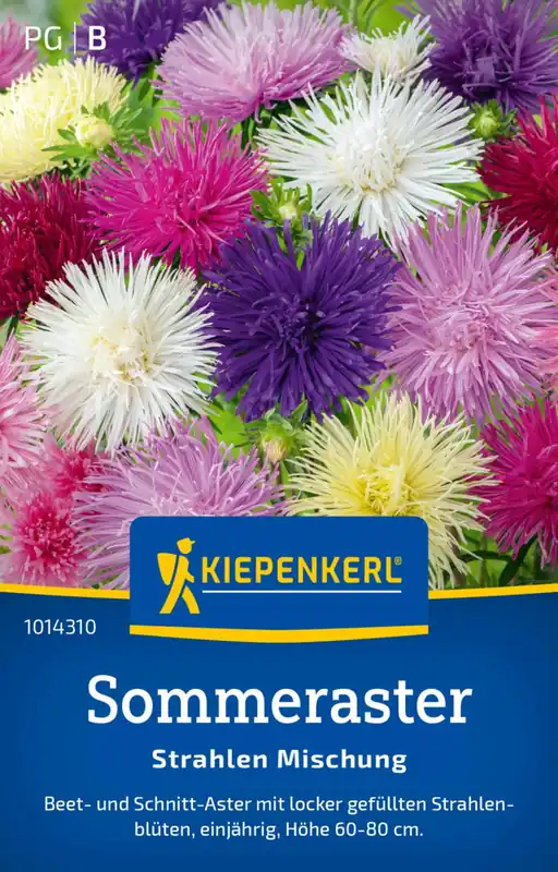 Kiepenkerl Zomeraster "Strahlen Mischung" - Bespaar meer