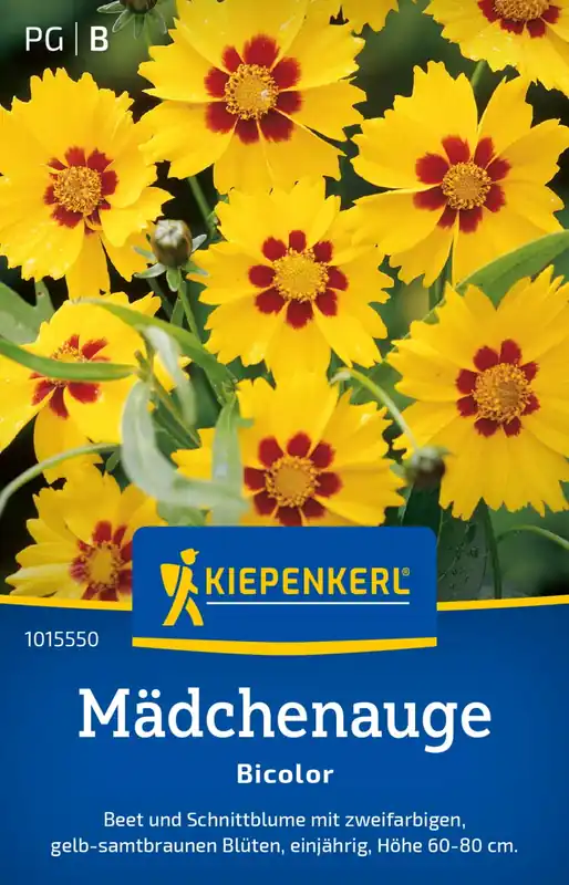 Kiepenkerl Meisjesogen "Bicolour" | Meest verkocht