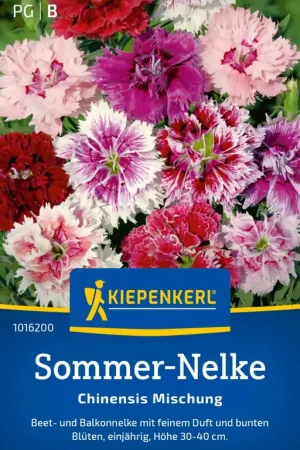 Speciale aanbieding | Kiepenkerl Chinese Anjer "Chinensis Mischung"