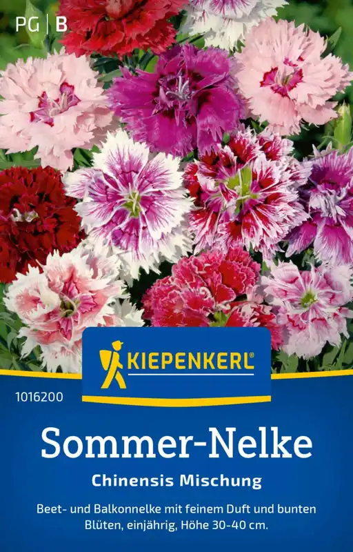 Speciale aanbieding | Kiepenkerl Chinese Anjer "Chinensis Mischung"