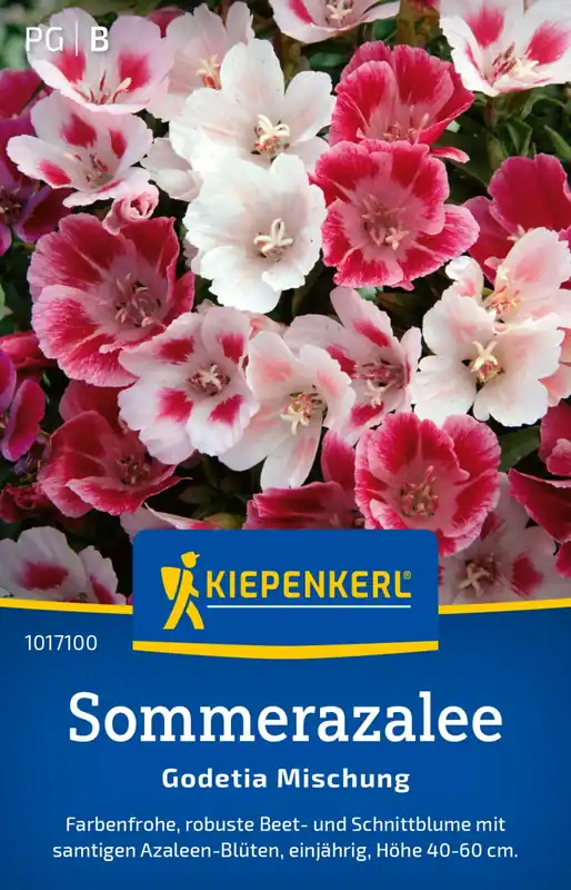 Nog maar een paar beschikbaar | Kiepenkerl Satijnbloem