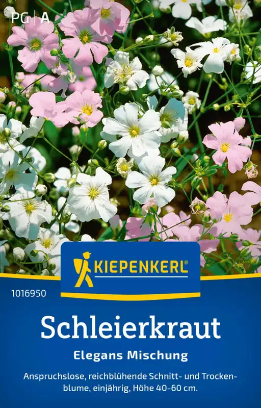 Kiepenkerl Sluierkruid-Mix | Premiumkwaliteit