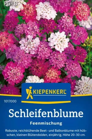 Direct leverbaar | Kiepenkerl Schermscheefbloem "Feenmischung"