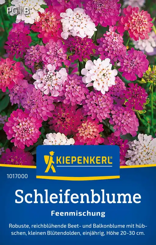 Direct leverbaar | Kiepenkerl Schermscheefbloem "Feenmischung"