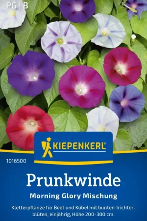 Flitsaanbieding - Kiepenkerl Blauwe Winde "Morning Glory Mischung"