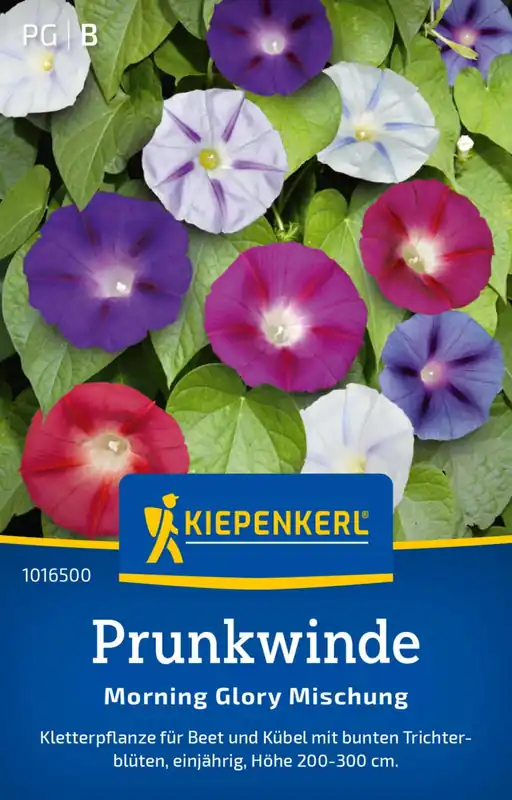 Flitsaanbieding - Kiepenkerl Blauwe Winde "Morning Glory Mischung"