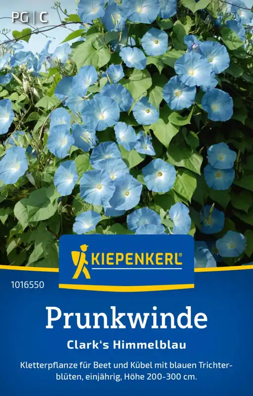 Kiepenkerl Hemelsblauwe Klimmende Winde | Outlet
