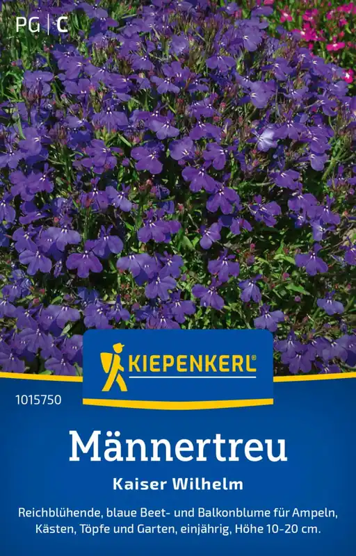 Alleen vandaag | Kiepenkerl Tuinlobelia "Kaiser Wilhelm"