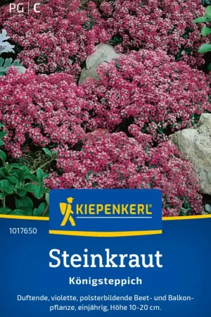 Veel gekozen | Kiepenkerl Schildzaad "Königsteppich"