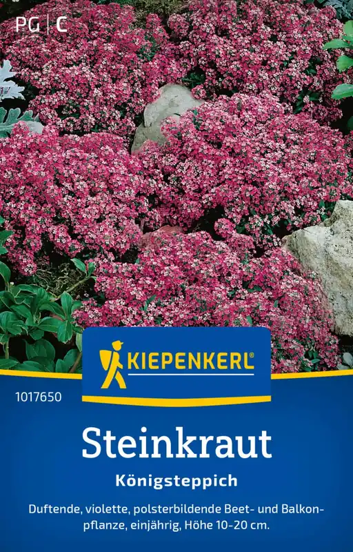 Veel gekozen | Kiepenkerl Schildzaad "Königsteppich"