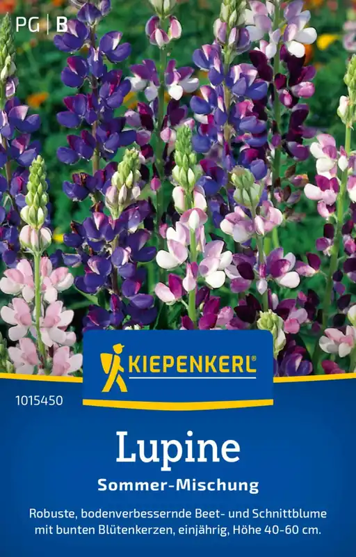 Populair bij klanten - Kiepenkerl Lupine "Sommer Mischung"