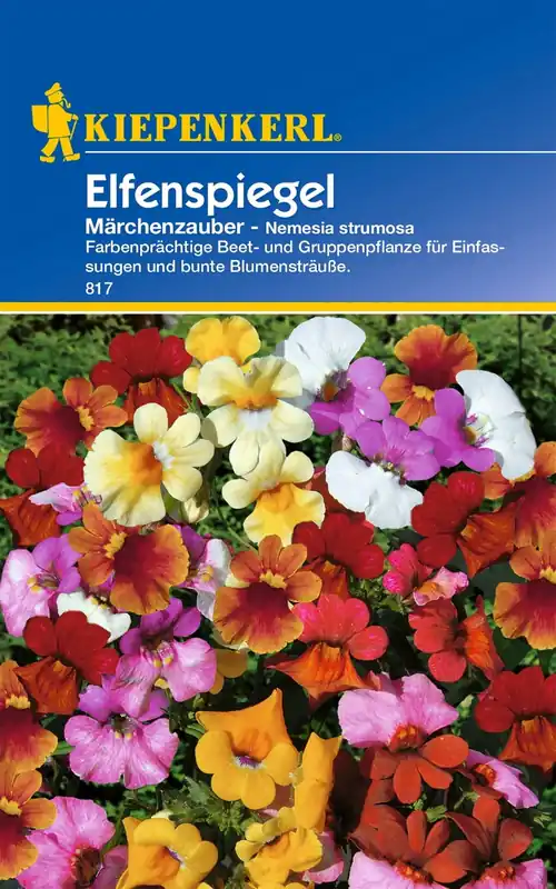 Kiepenkerl Nemesia "Nemesia Mischung" - Topproduct