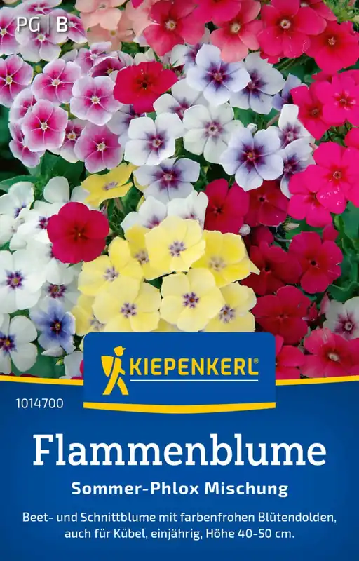 Kiepenkerl Vlambloem "Sommer-Phlox Mischung" | Online bestellen