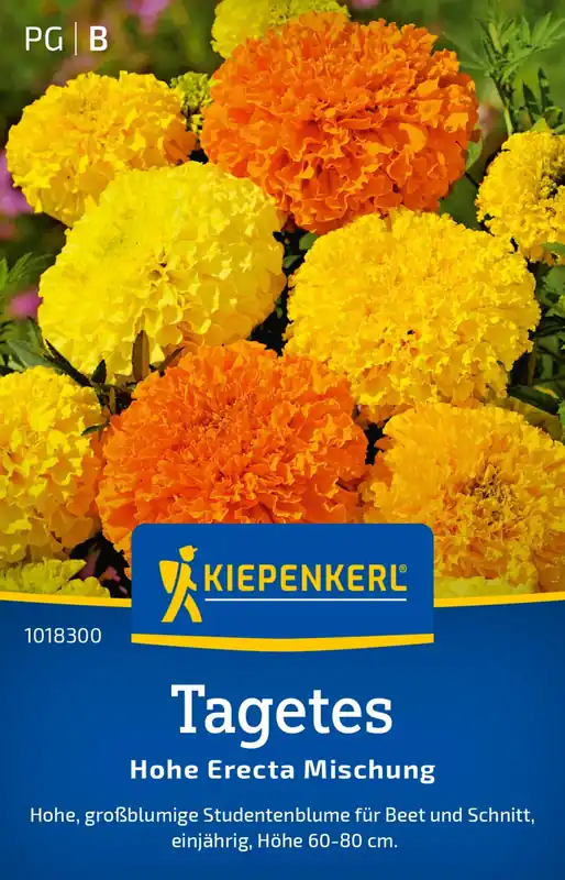 Kiepenkerl Tagetes Hoge Erecta Mix | Bestel nu