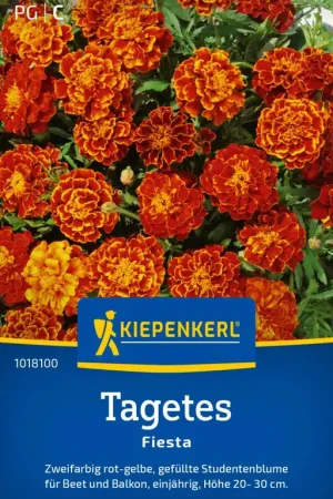 Voordelig | Kiepenkerl Afrikaantjes "Fiesta"