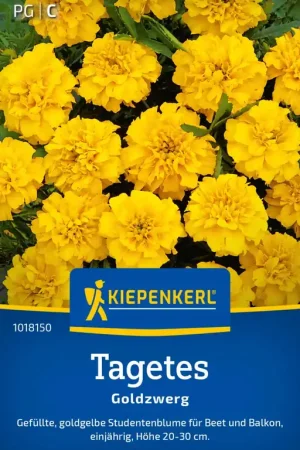 Eenvoudig retourneren - Kiepenkerl Afrikaantje "Goldzwerg"