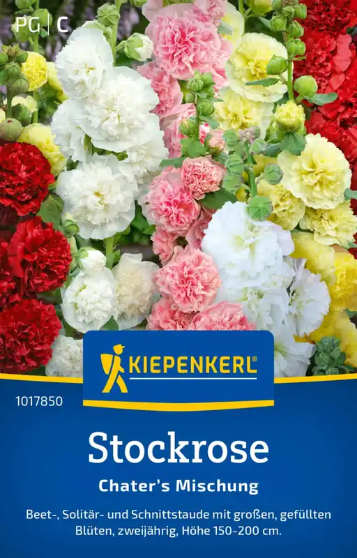 Kiepenkerl Stokroos "Chater’s Mischung" - Favoriet van klanten