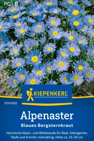Eenvoudig retourneren - Kiepenkerl Alpenaster "Blaues Bergsternkraut"