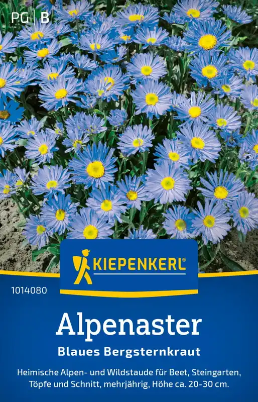 Eenvoudig retourneren - Kiepenkerl Alpenaster "Blaues Bergsternkraut"
