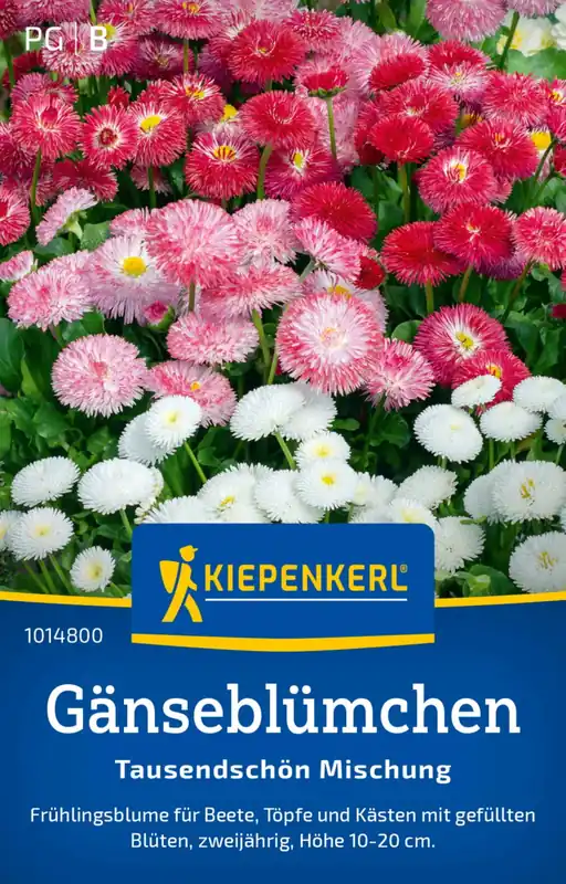 Kiepenkerl Madeliefje "Tausendschön Mischung" | Actieprijs