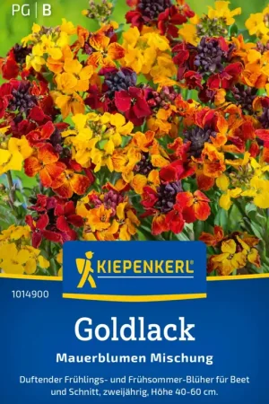 Gratis retourneren - Kiepenkerl Muurbloem "Mauerblumen Mischung"