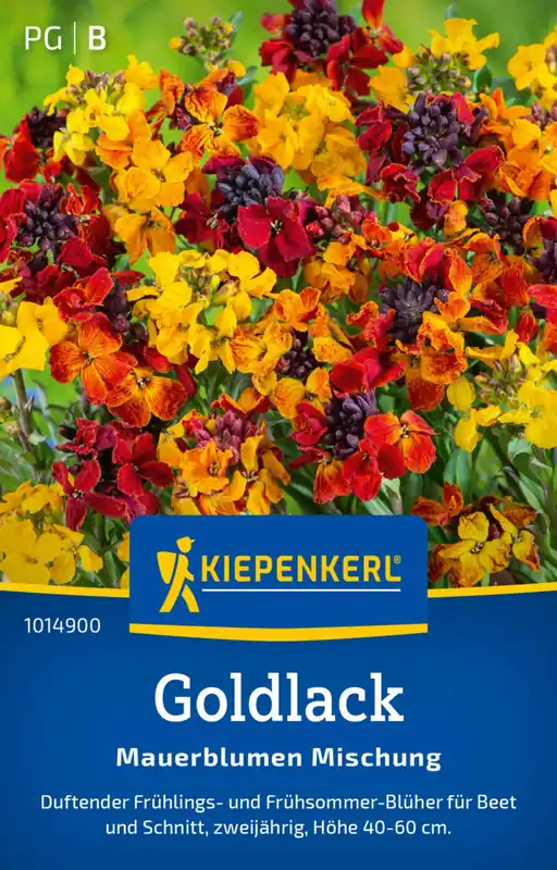 Gratis retourneren - Kiepenkerl Muurbloem "Mauerblumen Mischung"