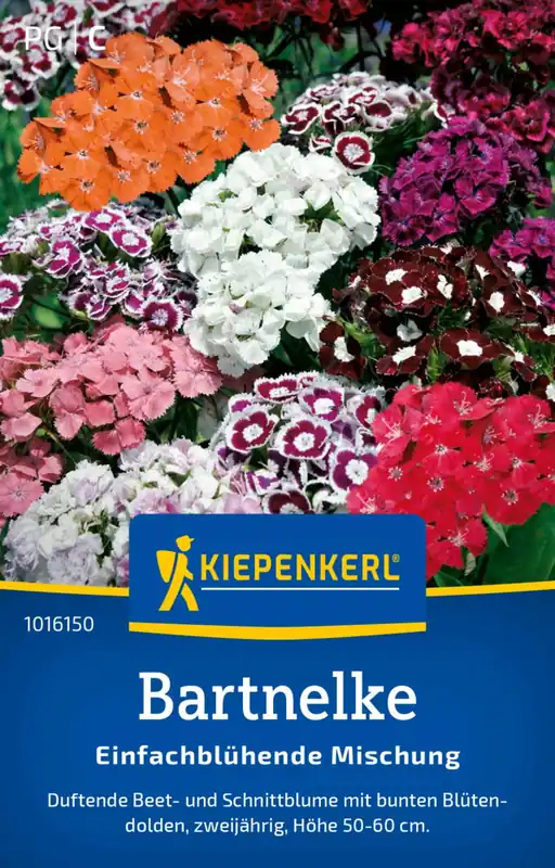 Nieuw binnen - Kiepenkerl Baardanjers "Einfach blühende Mischung"