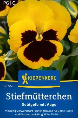 Flitsaanbieding - Kiepenkerl Goudgeel Viooltje met Oog