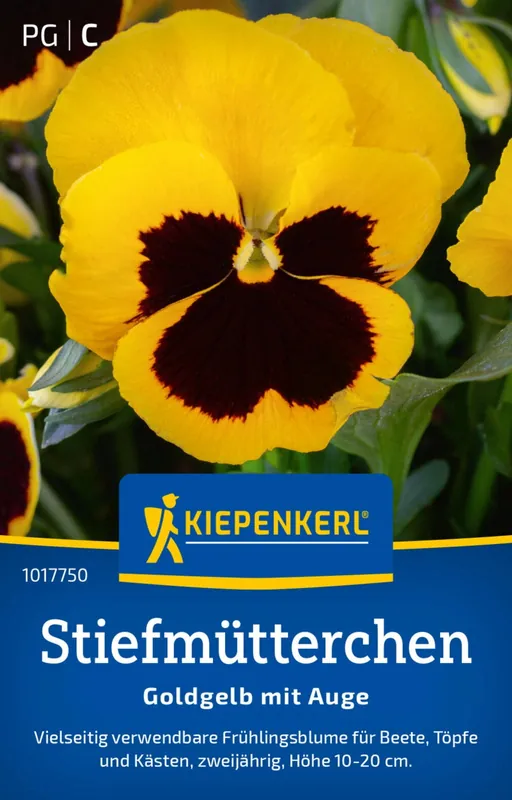 Flitsaanbieding - Kiepenkerl Goudgeel Viooltje met Oog