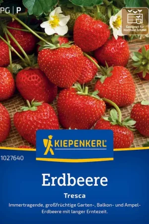 Kiepenkerl Aardbeien "Tresca" | Makkelijk bestellen