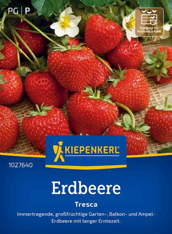 Kiepenkerl Aardbeien "Tresca" | Makkelijk bestellen