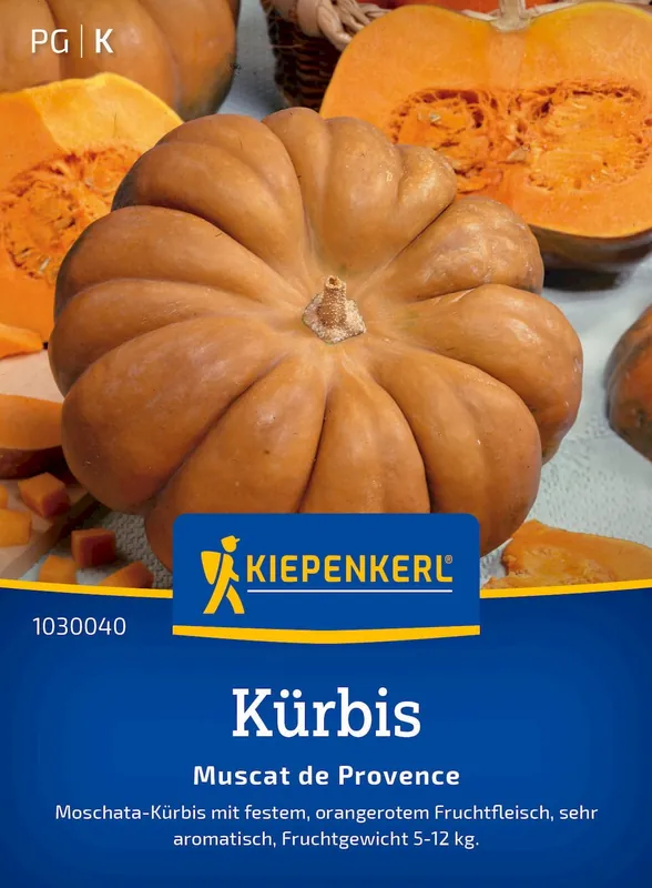 Kiepenkerl Pompoen “Muscat de Provence” | Extra korting