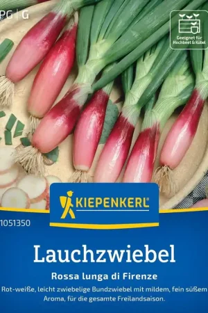 Scherpe prijs | Kiepenkerl Sjalot "Rossa lunga di Firenze"