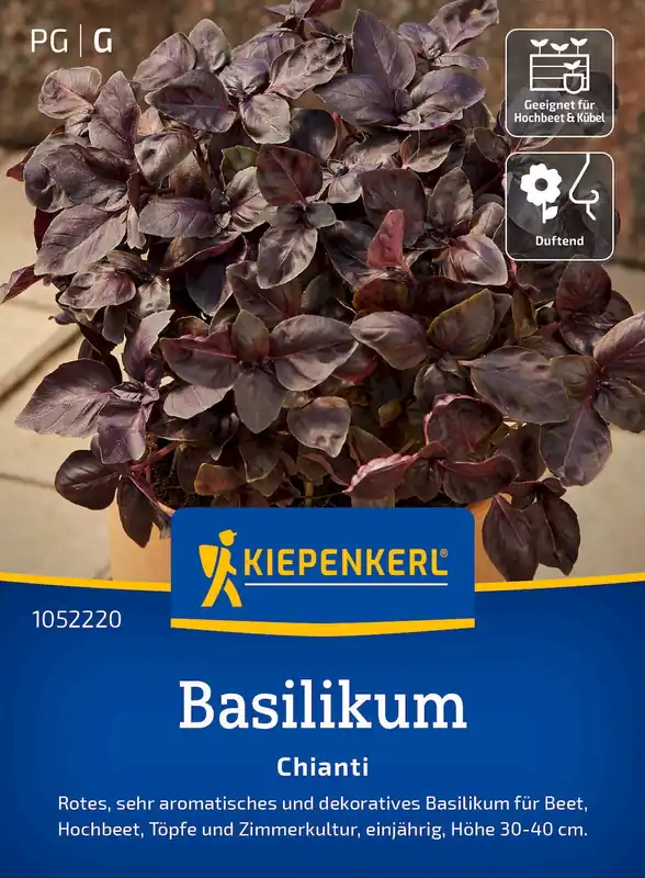 Kiepenkerl Basilicum "Chianti" | Op voorraad