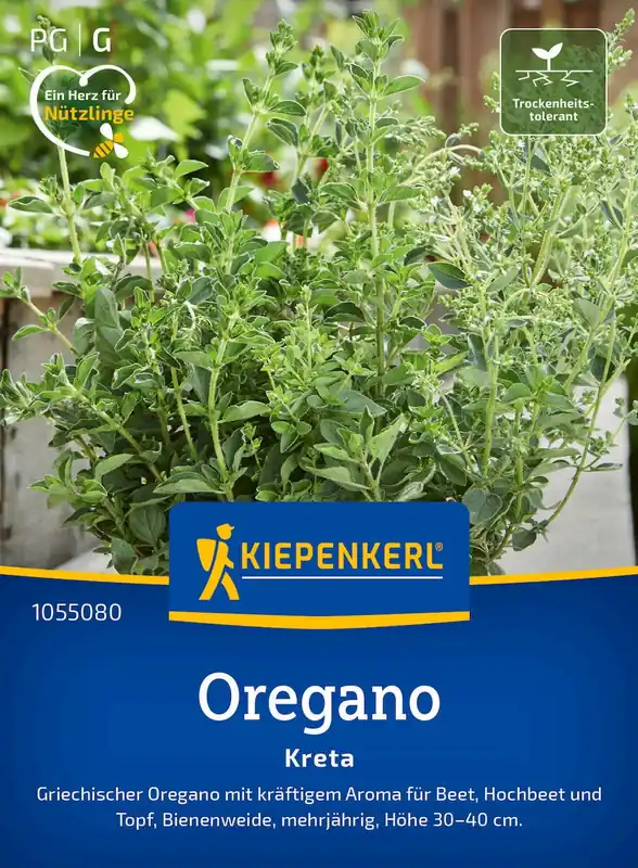 Aanrader - Kiepenkerl Oregano Kreta