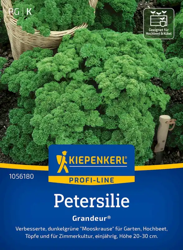 Nu beschikbaar | Kiepenkerl Peterselie "Grandeur"