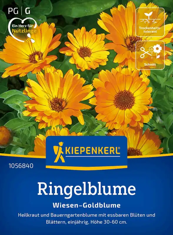 Kiepenkerl Goudsbloem - Wiesen-Goldblume | Topkwaliteit