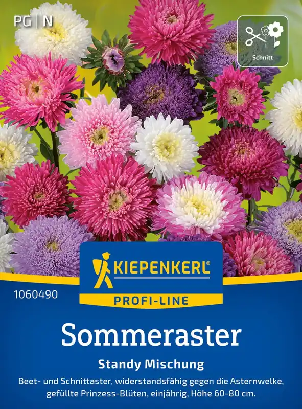 Kiepenkerl Zomeraster "Standy Mix" | Direct bestellen