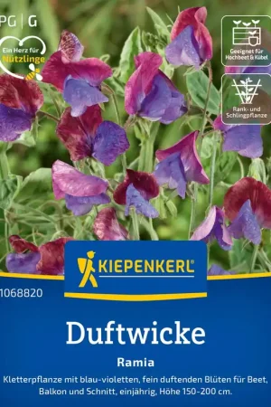 Flitsaanbieding - Kiepenkerl Welriekende Lathyrus"Ramia"