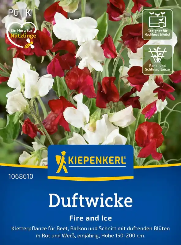 Online bestelbaar | Kiepenkerl Welriekende Lathyrus "Fire and Ice"
