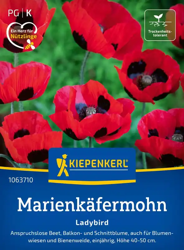 Klantfavoriet | Kiepenkerl Papaver Commutatum - Ladybird