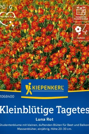 Direct bestellen | Kiepenkerl Kleinbloemig Afrikaantje - Luna Rot