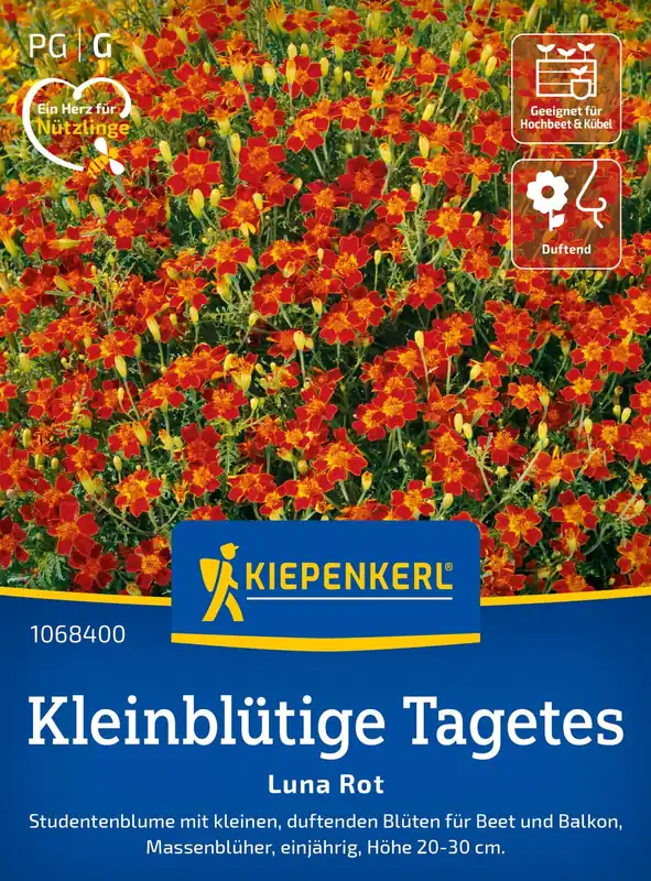 Direct bestellen | Kiepenkerl Kleinbloemig Afrikaantje - Luna Rot