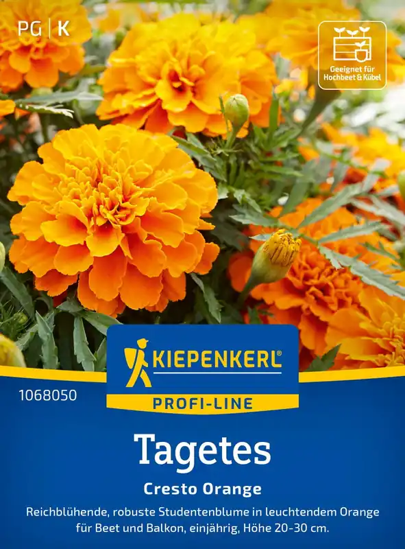 Kiepenkerl Goudsbloem “Cresto Orange” | Topproduct