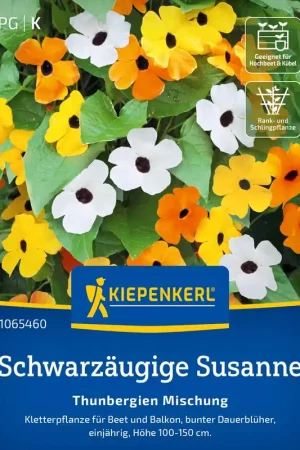 Topprijs | Kiepenkerl Suzanne-met-de-mooie-ogen "Thunbergien Mix"